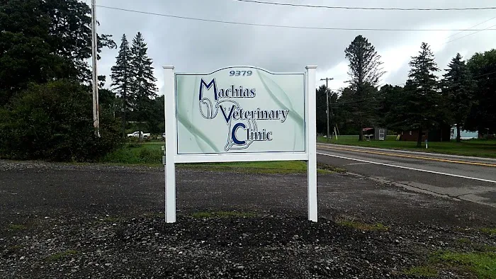 Machias Veterinary Clinic Picture 1