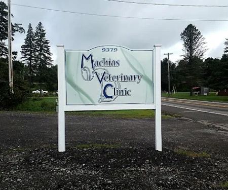 Machias Veterinary Clinic