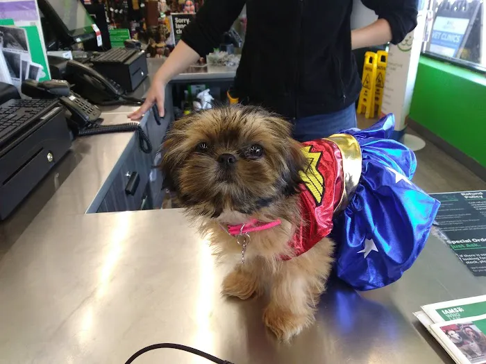 Machias Veterinary Clinic Picture 2