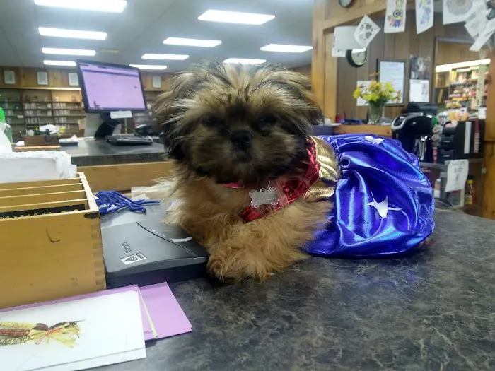 Machias Veterinary Clinic Picture 4