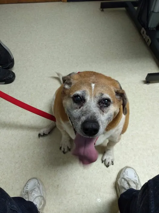 Machias Veterinary Clinic Picture 6