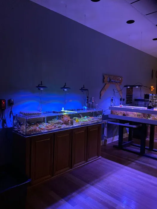Easy Aqua Fish & Coral Picture 10