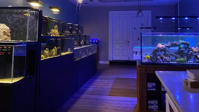 Easy Aqua Fish & Coral Picture 2