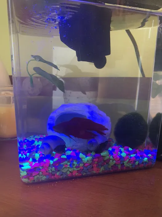 Petco Picture 9