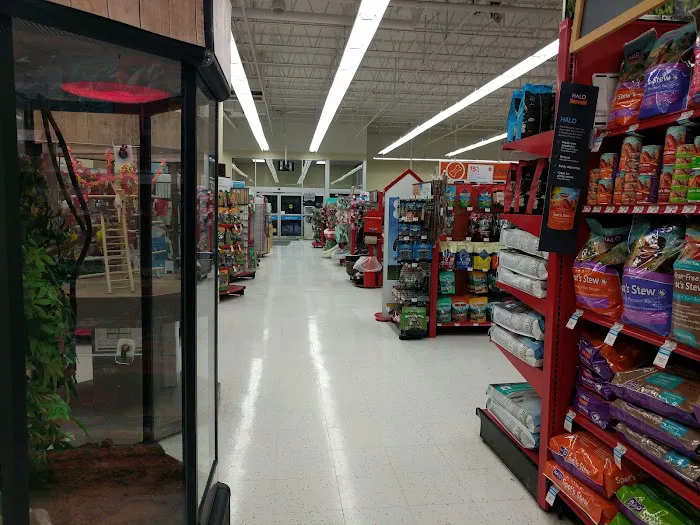 Petco Picture 2