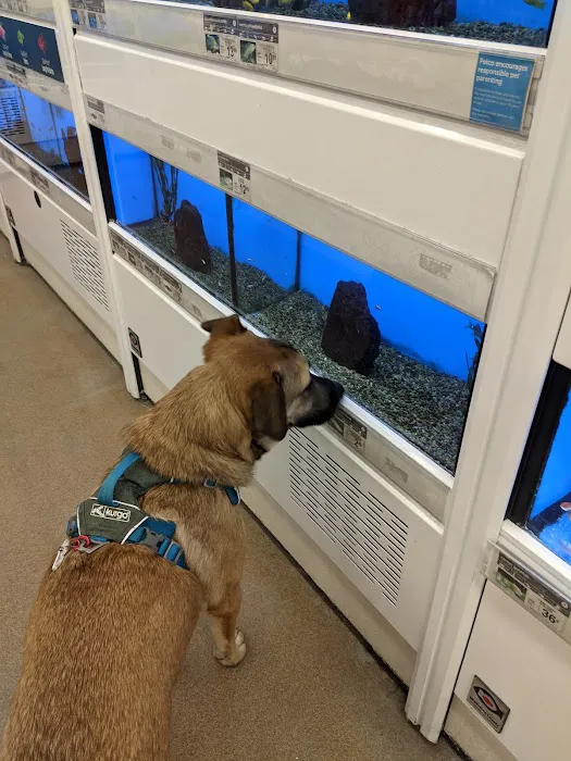 Petco Picture 5