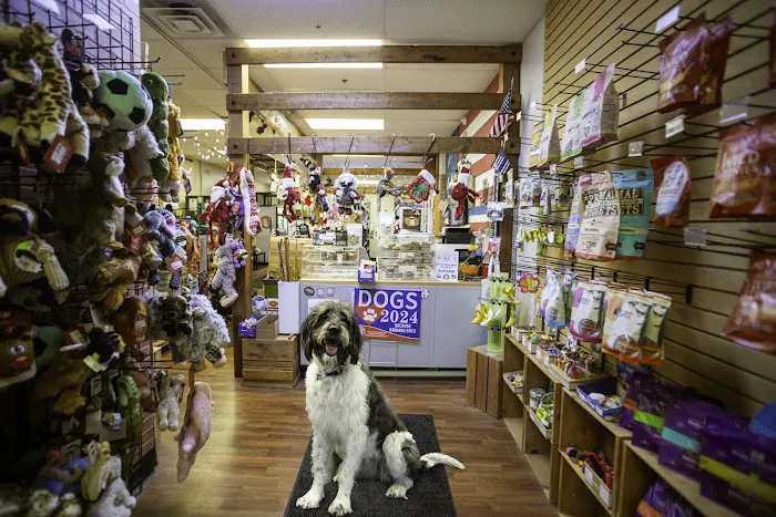 What's In The Bowl Pet Shop - - Pet Supplies - Pet Store - New Berlin Picture 10