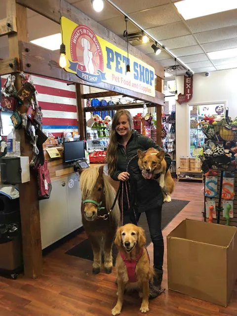 What's In The Bowl Pet Shop - - Pet Supplies - Pet Store - New Berlin Picture 2