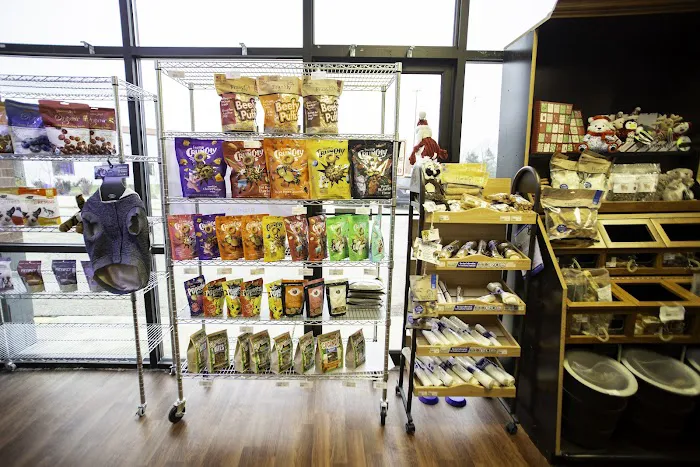 What's In The Bowl Pet Shop - - Pet Supplies - Pet Store - New Berlin Picture 7