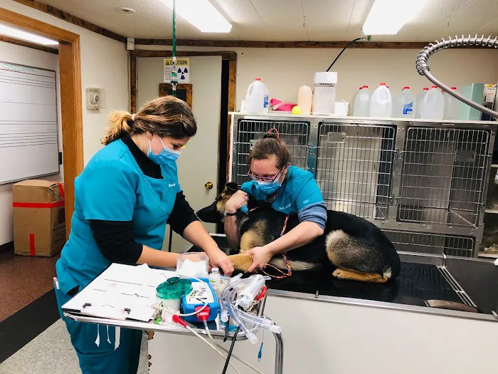 Haskell Valley Veterinary Clinic Picture 4