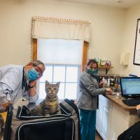 Haskell Valley Veterinary Clinic ico
