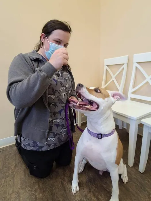 Haskell Valley Veterinary Clinic Picture 5