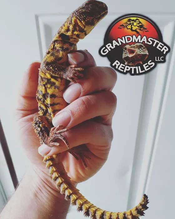 GRANDMASTER REPTILES LLC Picture 1
