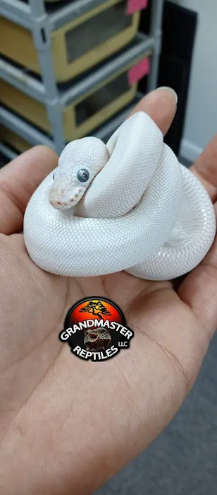GRANDMASTER REPTILES LLC Picture 6