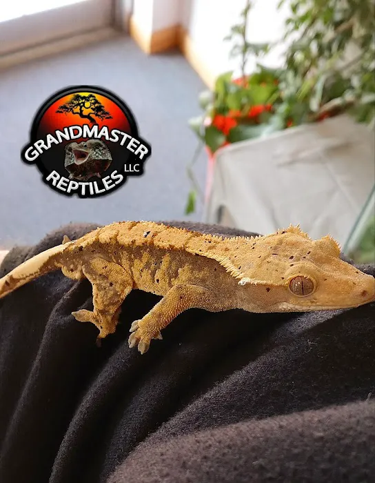GRANDMASTER REPTILES LLC Picture 4