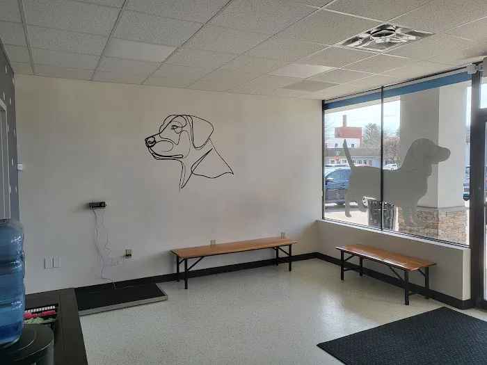Enchanted Mountains Urgent Veterinary Care Picture 6