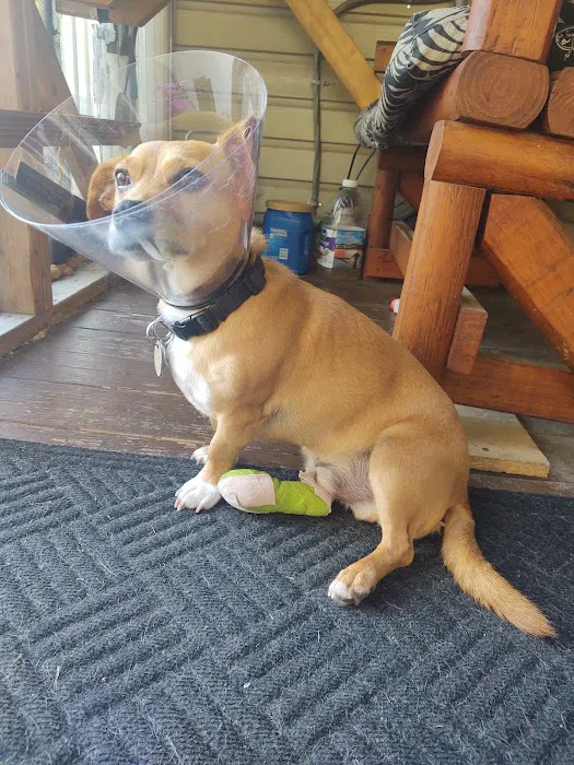 Enchanted Mountains Urgent Veterinary Care Picture 5