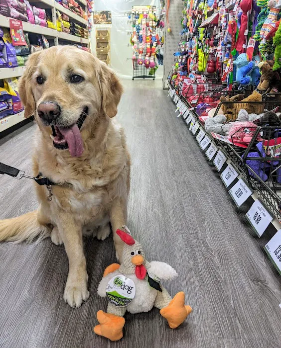 Pet Supplies Plus Glendale Picture 10