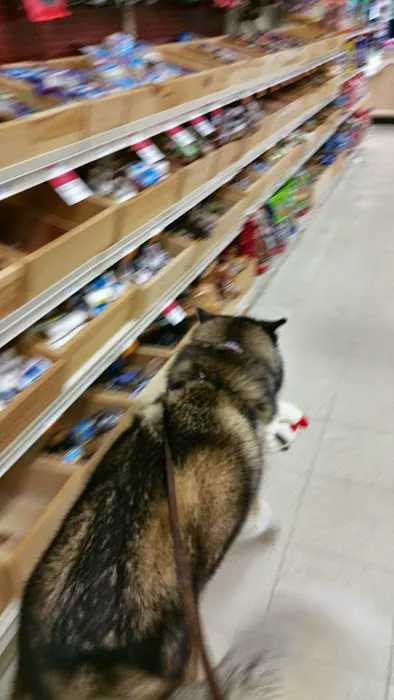 Pet Supplies Plus Glendale Picture 7