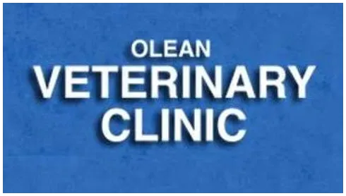 Olean Veterinary Clinic Picture 7