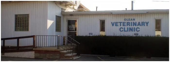 Olean Veterinary Clinic Picture 1