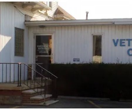 Olean Veterinary Clinic