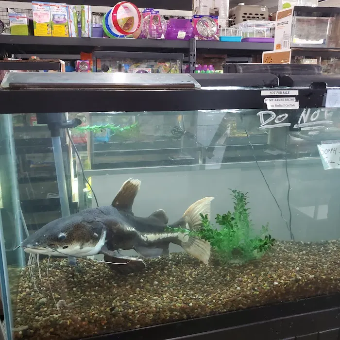 Marineland Pets 311 W Silver Spring Bayshore Picture 2
