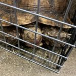 Marineland Pets 311 W Silver Spring Bayshore