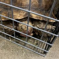 Marineland Pets 311 W Silver Spring Bayshore ico