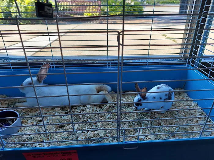 Marineland Pets 311 W Silver Spring Bayshore Picture 10