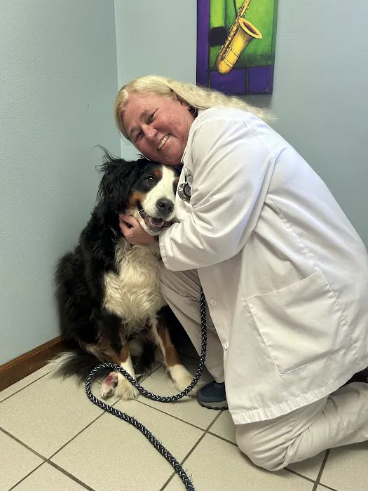 Milan Veterinary Clinic Picture 3