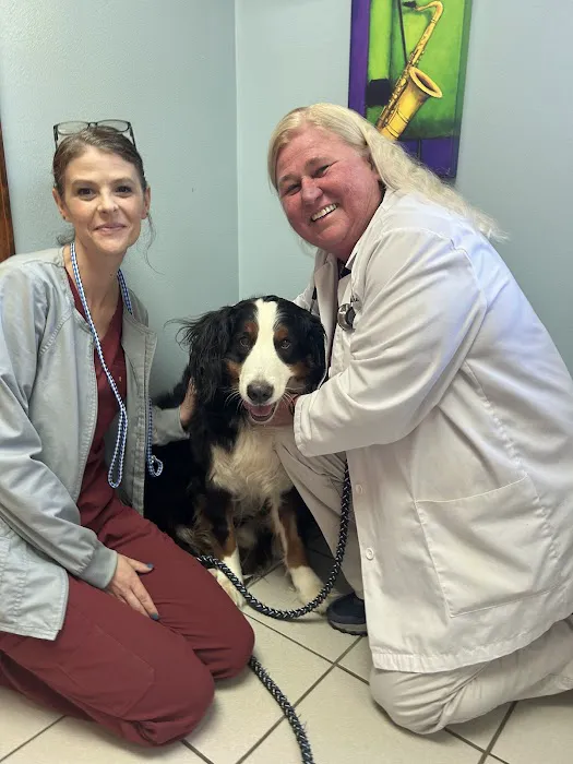 Milan Veterinary Clinic Picture 4