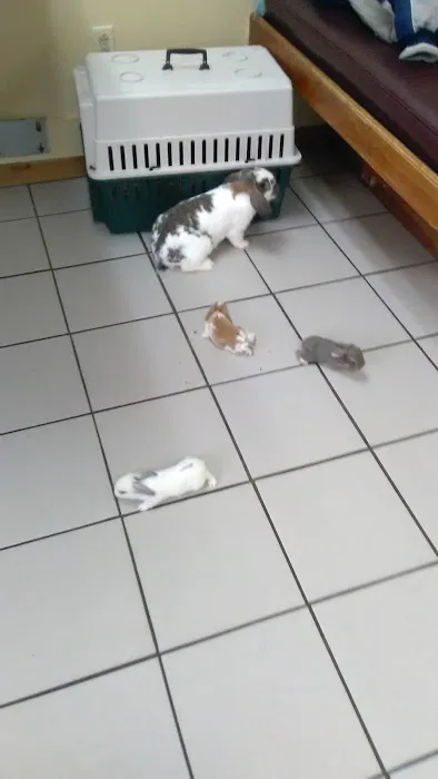 Milan Veterinary Clinic Picture 1