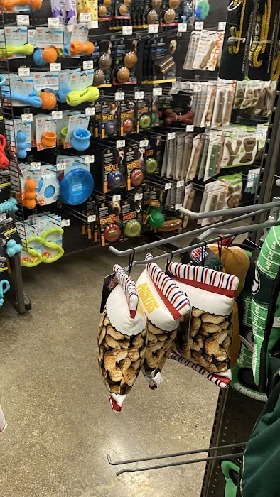 Petco Picture 10