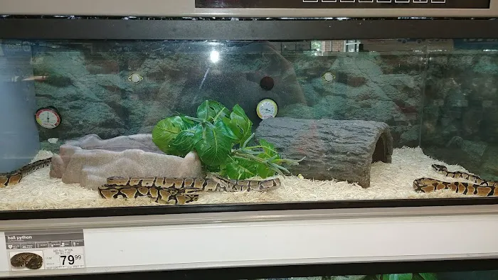 Petco Picture 5