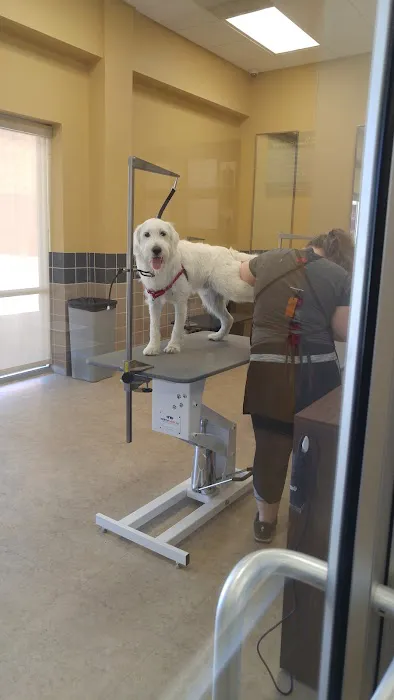 Petco Picture 6