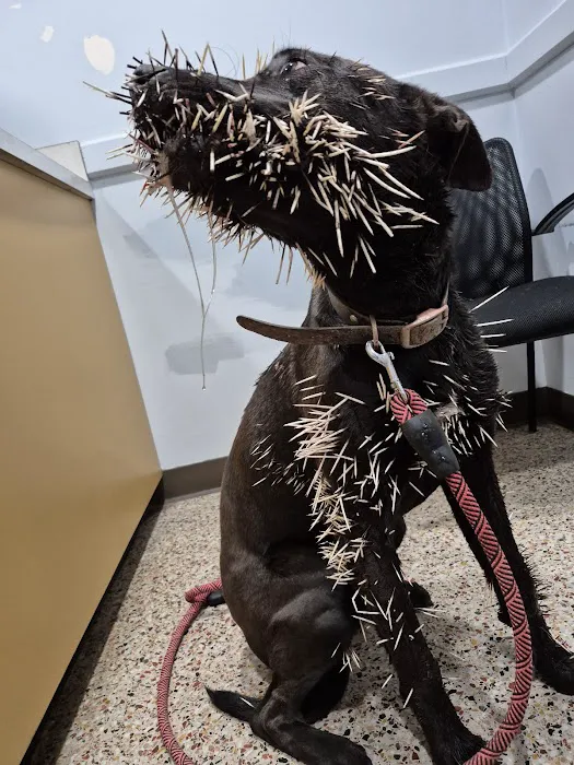 Athens Animal Hospital Picture 1