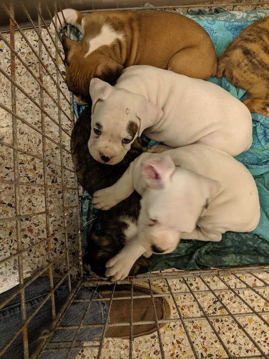Athens Animal Hospital Picture 9