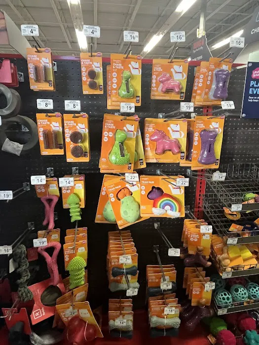 Petco Picture 5