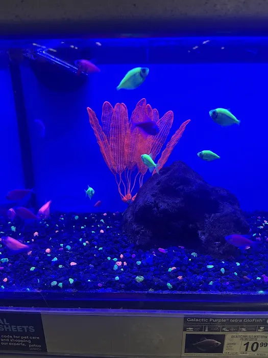 Petco Picture 1