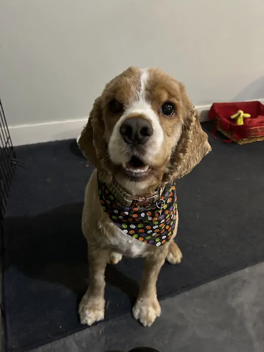 Petco Picture 10