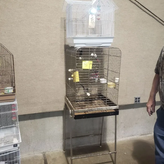 Kalamazoo Reptile Show Picture 7