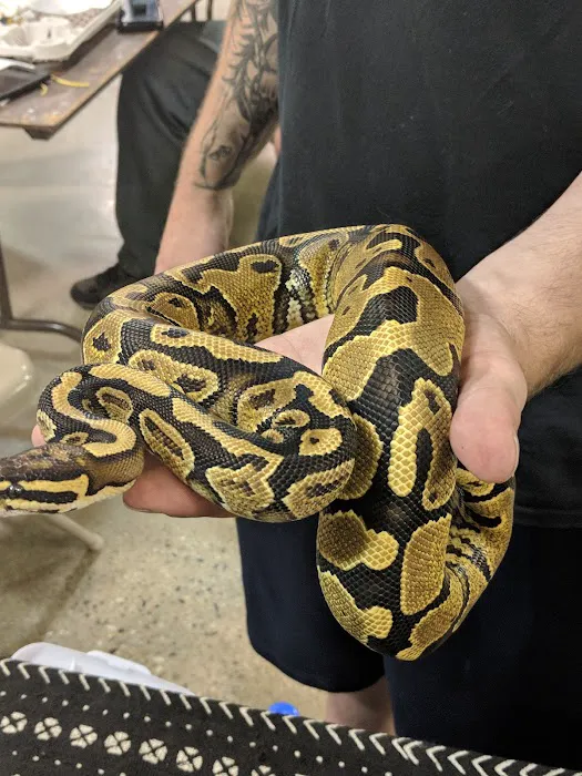 Kalamazoo Reptile Show Picture 9