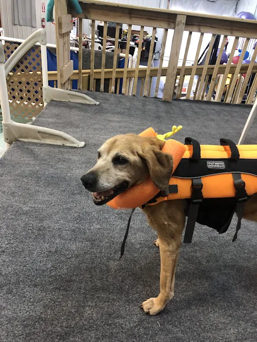 The Dog Dive, LLC Picture 8