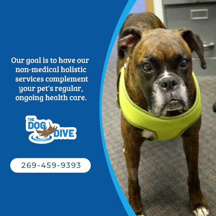 The Dog Dive, LLC Picture 7