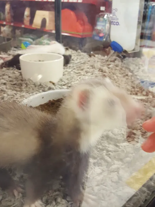 Petco Picture 6