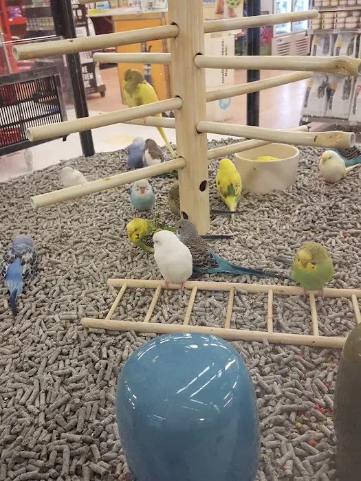 Petco Picture 8