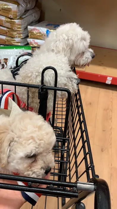 Petco Picture 1