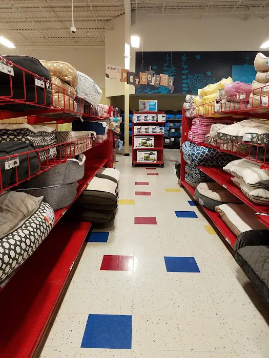 Petco Picture 2