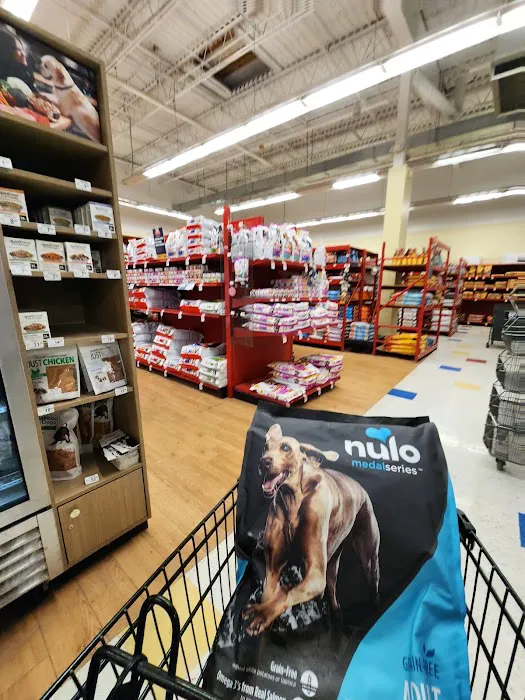 Petco Picture 7